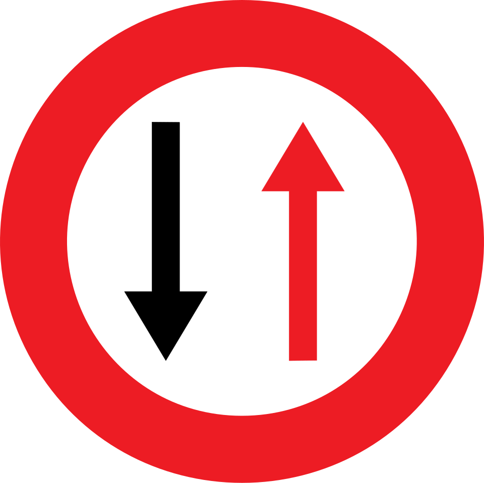 B19